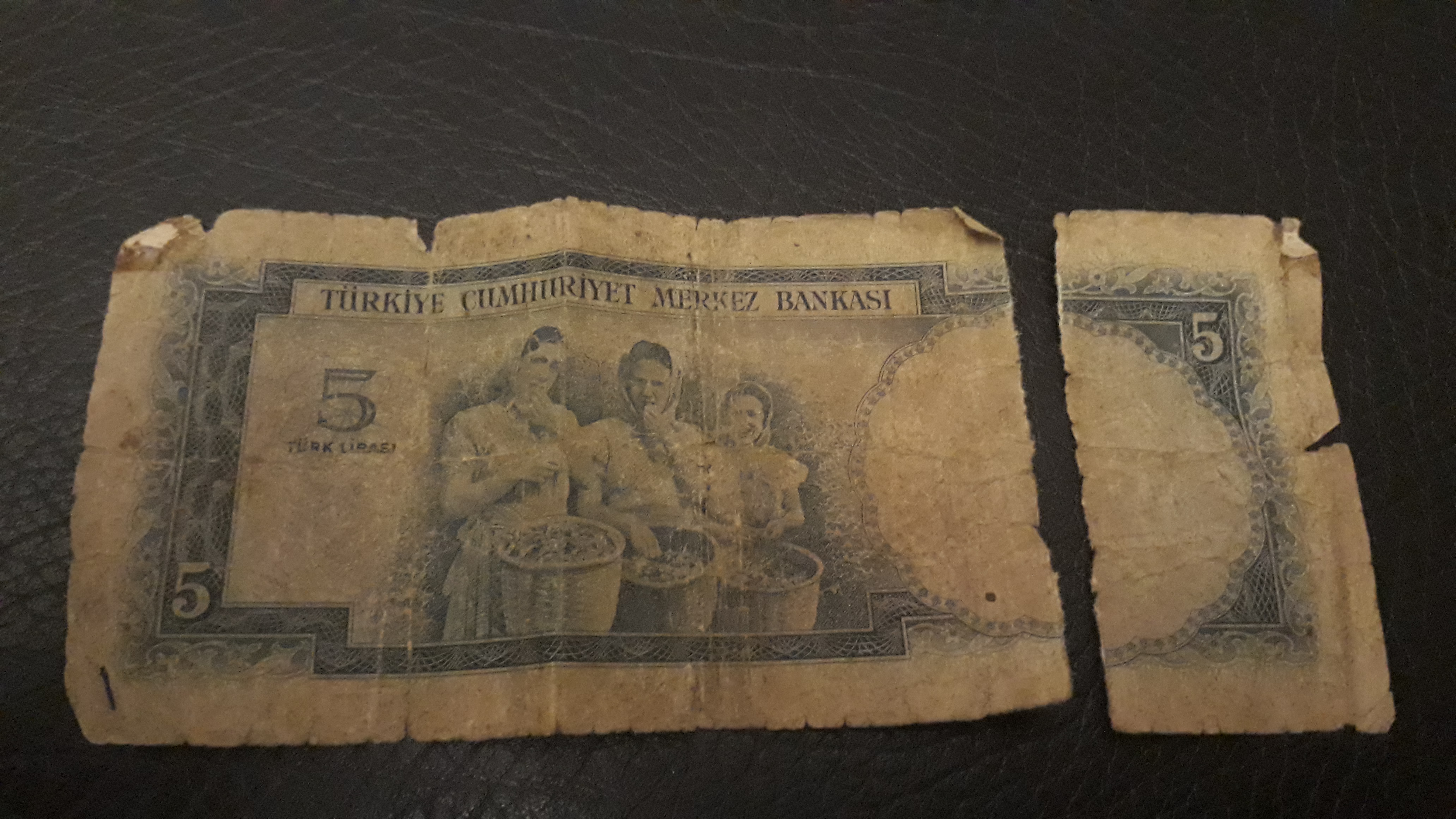 5 tl