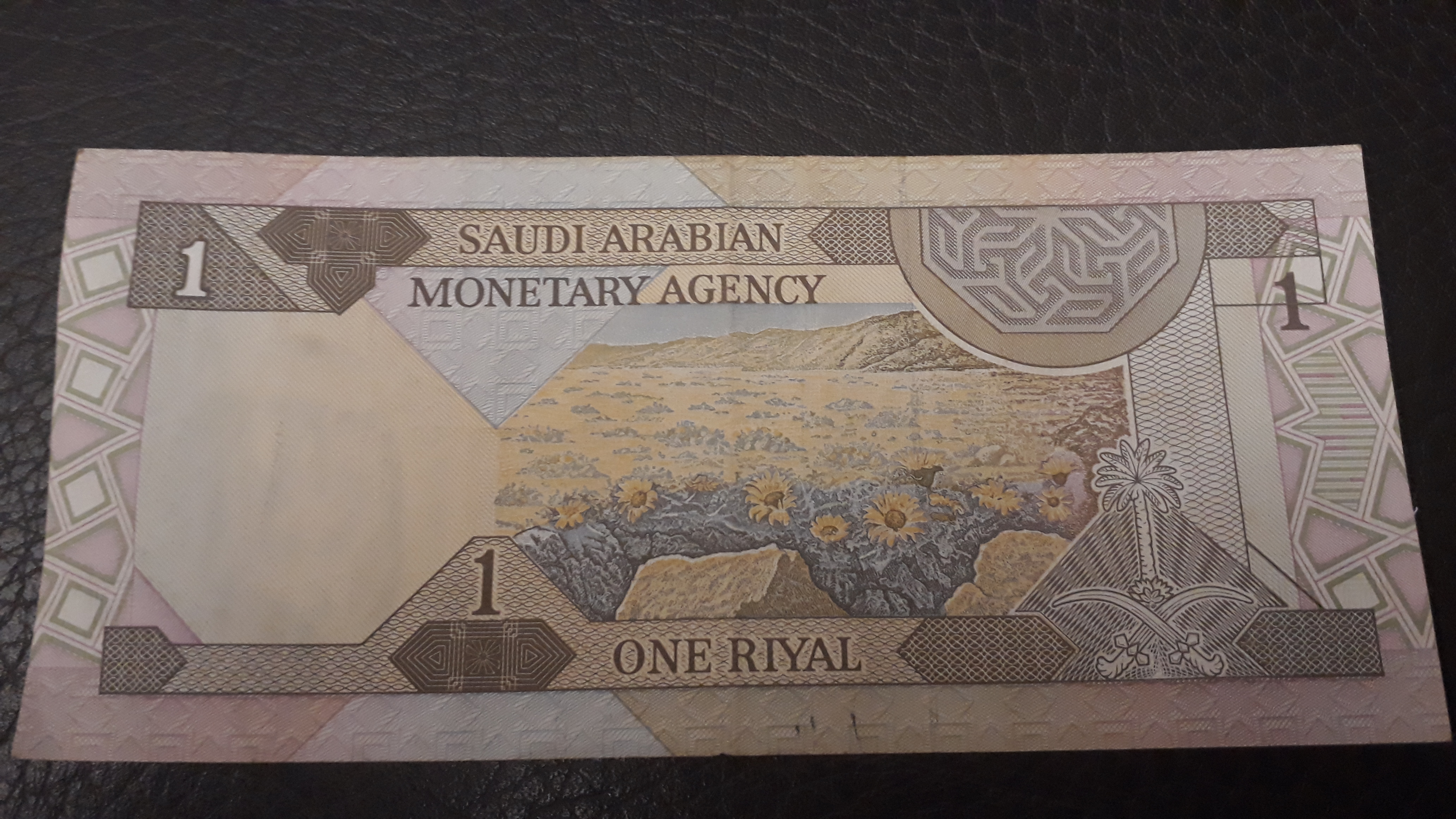 Suudi arabistan riyali