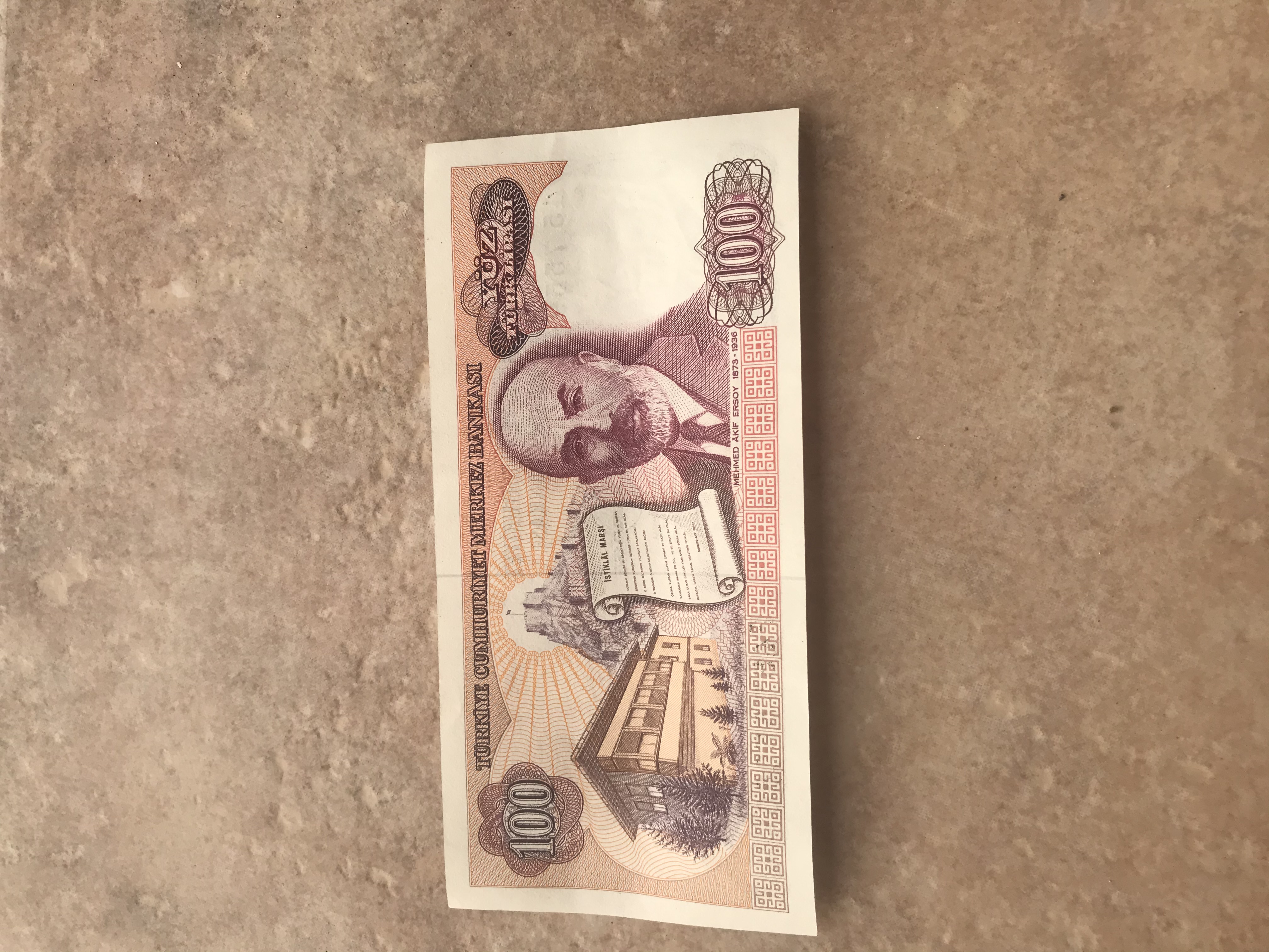100 Türk lirası