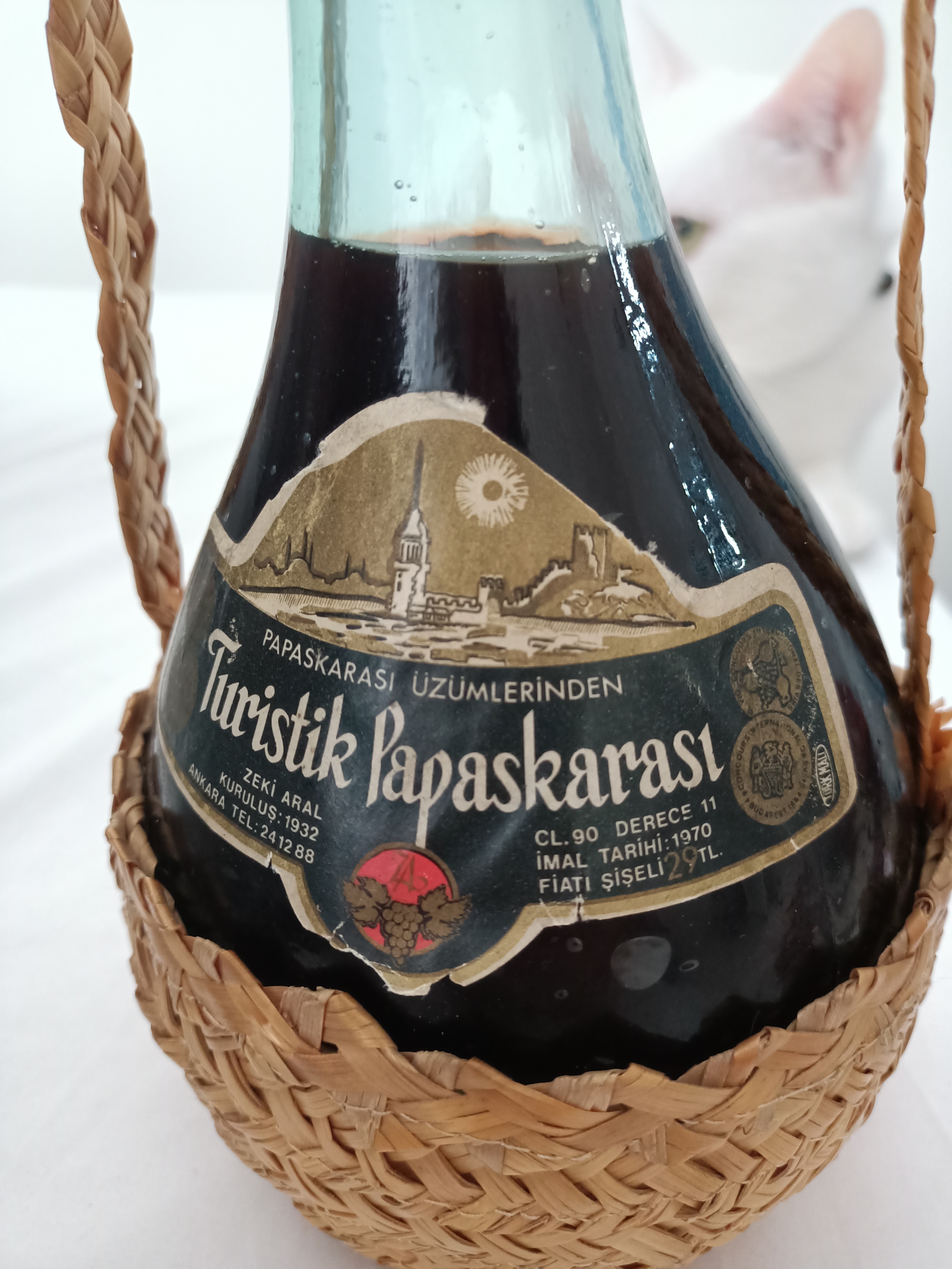 1970 Turistik Papaskarası