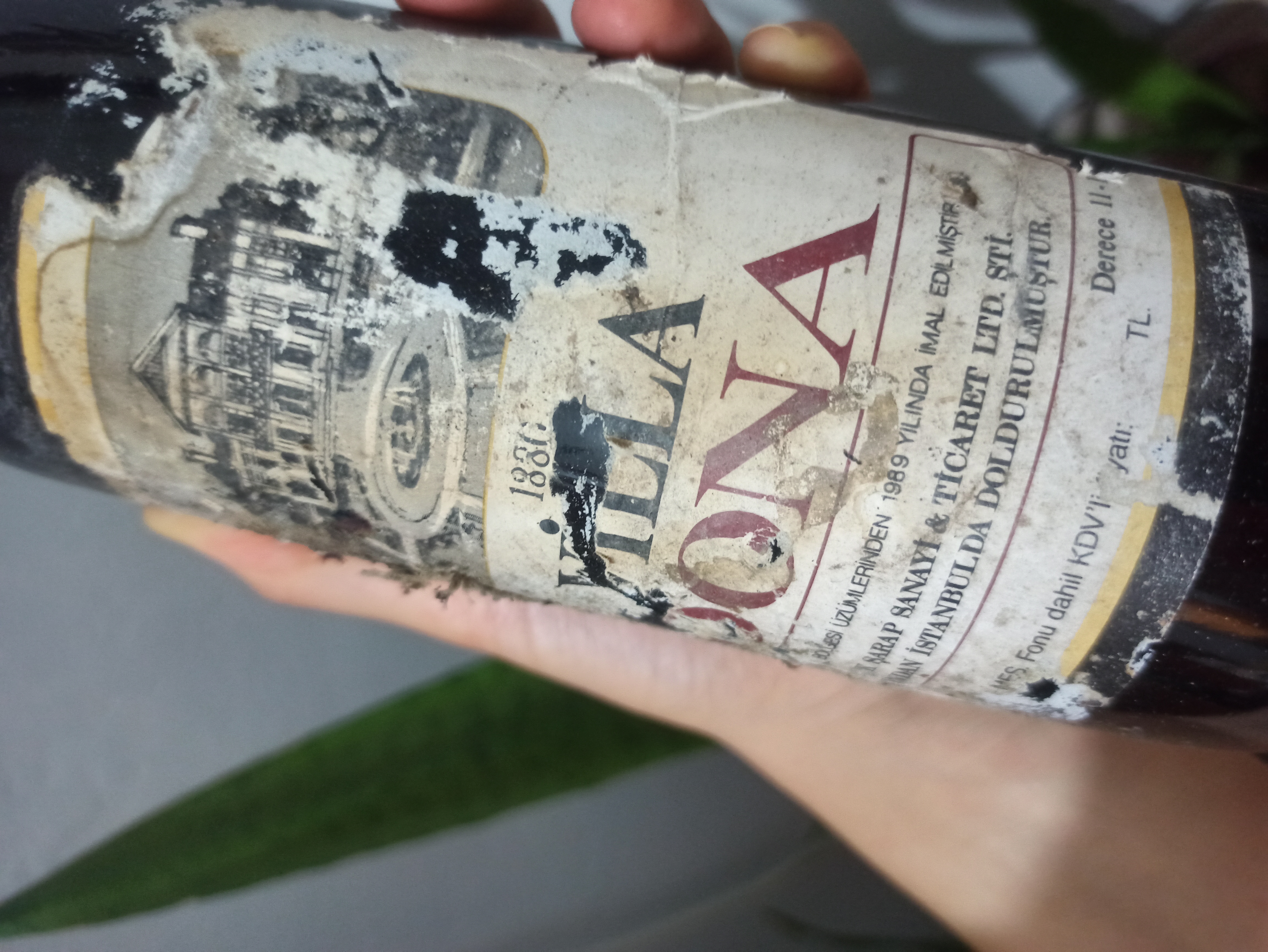 Villa Dona 1989 Şarap